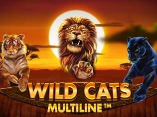 Wild Cats Multiline screenshot