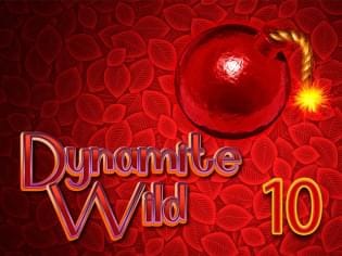 Dynamite Wild 10 game cover